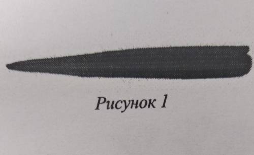 Какой тип корневой системы, вероятнее всего, будет у растения, лист которого изображён на рисунке (с