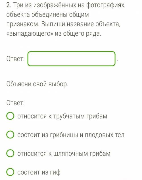 Три из изображённых на фотографиях объекта объединены общим признаком. Выпиши название объекта, «вып