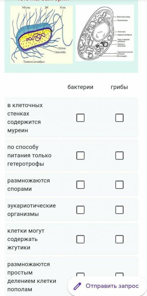 3 вопрос. Установите соответствие между характеристикой организма и царством, к которому он принадле