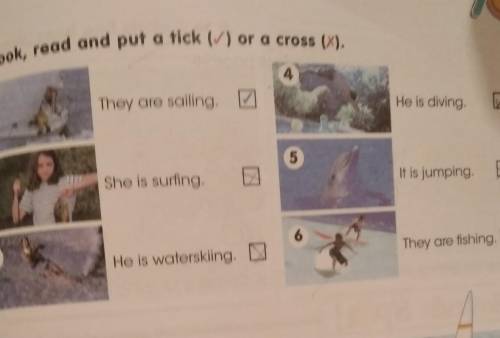 2 Look, read and put a tick (×) or a cross (✓). 1They are sailing.He is diving2She is surfingIt is j