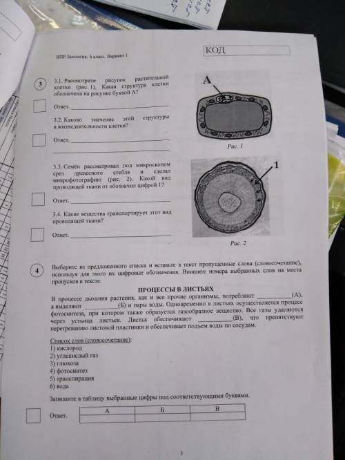 , завтра впр, как я поняла это задания От (Я не ответить на всё, хотя бы на те на которые знаете отв