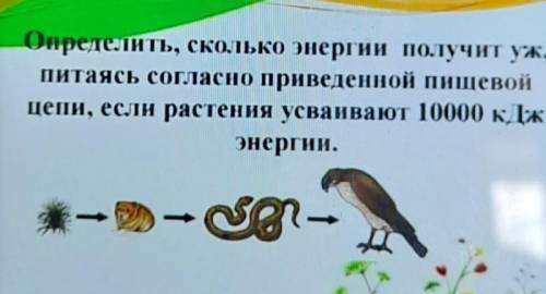 Определить, сколько энергии получит уж, питаясь согласно приведенной пищевойцепи, если растения усва