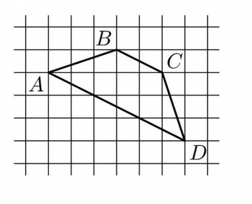 На клетчатой бумаге с размером клетки 1 1× изображена трапеция ABCD. Во сколько раз основание AD бол