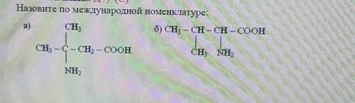 Назовите по международной номенклатуре​