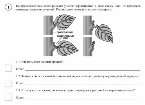 На представленном ниже рисунке ученик зафиксировал в виде схемы один из процессов жизнедеятельности