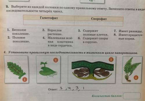 выберите из каждой колонки по одному правильному ответу, запишите ответы в виде последовательности 4