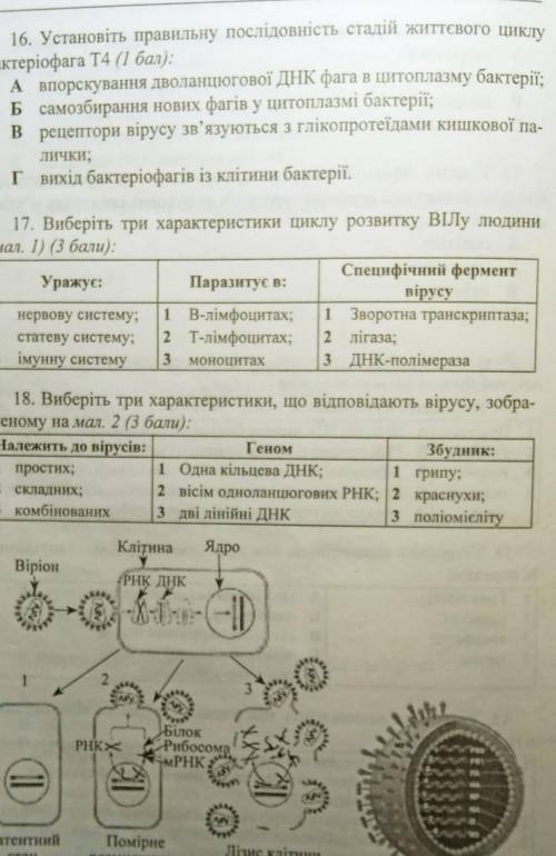 Биология 10 класстест​