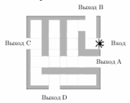 На рисунке изображён лабиринт. Паук заползает в лабиринт в точке «Вход». Развернуться и ползти назад