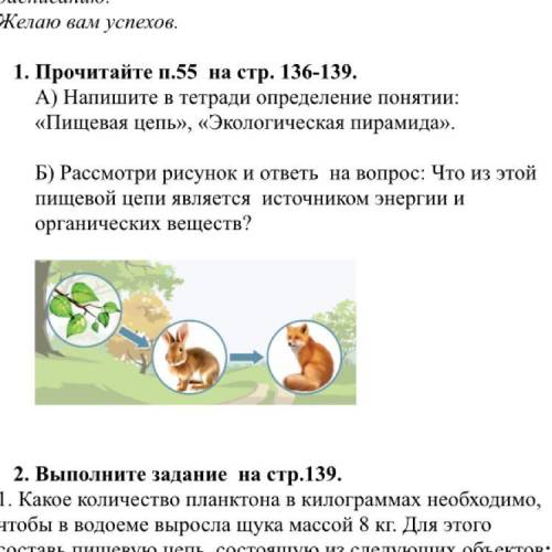 А) Напишите в тетради определение понятии: «Пищевая цепь», «Экологическая пирамида». Б) Рассмотри ри