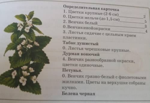 2. Что такое вид? Назови виды растений, животных и из- вестных тебе грибов, встречающиеся в твоей ме