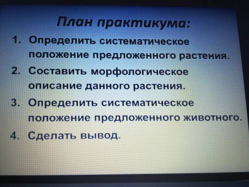 План практикума: 1. Определить систематическое положение предложенного растения. 2. Составить морфо