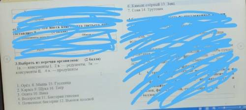 3.Выбрать из перечня организмов: ( ) 1в.Консументы I, 2 в.редуценТЫ, Зв.консументы П. 4 в.продуценты