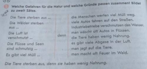 Welche Gefahren für die Natur und welche Gründe passen zusammen! Bildet zu zweit Sätze. с нимецкой ❤