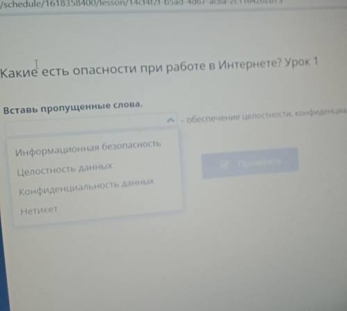 Какие есть опасности при работе в Интернете? Урок 1 xВставь пропущенные слова.- обеспечение целостно