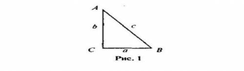 Решите AC = 20 cm, tg B = 2 (рис. 1). Найдите BC, sin A.​