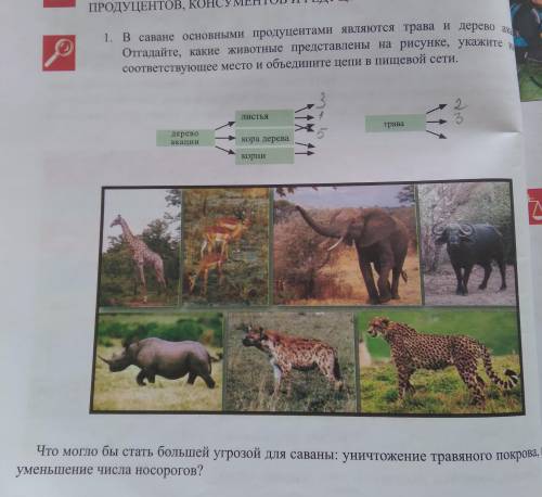 В саванне основными продуктами являются трава и дерево акации. Отнадайте, какие животные представлен