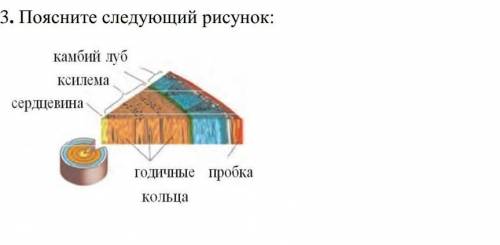 Поясните следующий рисунок :​