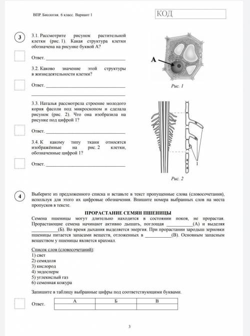 Задание по ВПР. Биология 6 класс .​