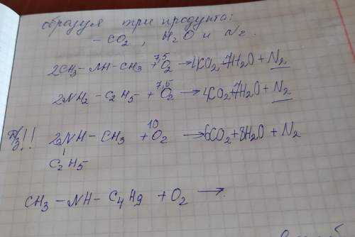 с Органической химией. Напишите реакцию. Тема Амины. Образец и само задание ниже.