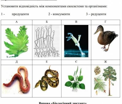 Установити відповідність між компонентами екосистеми та організмами​