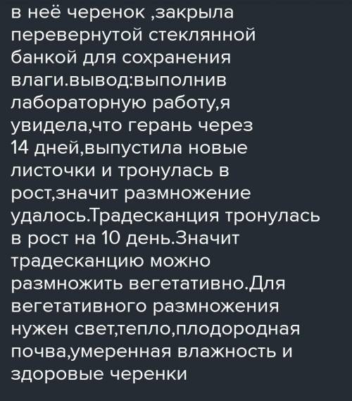 Цветоводу поступил заказ на 100 кустиков традесканции, которые нужны через 3 месяца. Цветовод будет