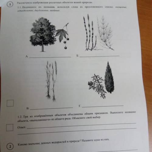 подпишите их назаания используя слова из предложенного списка: