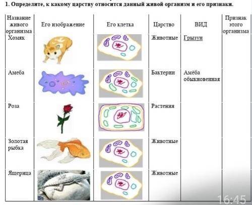 , Определите к какому царству относится данный живой организм и его признаки ​