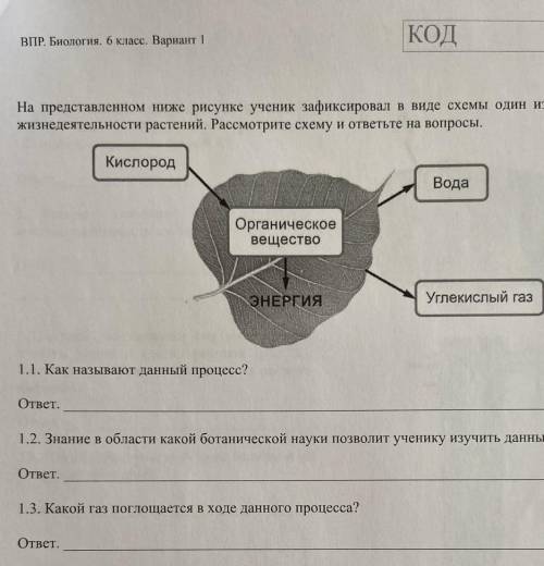 ) На представленном ниже рисунке ученик зафиксировал в виде схемы один из процессов жизнидеятельност