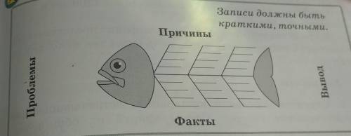 Заполните схему скелет рыбыпроблема,причина,факты,выводможете я что то не пойму​