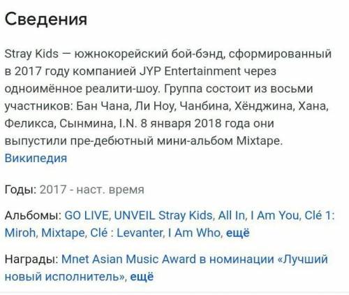 Кто такие Stray kids?​