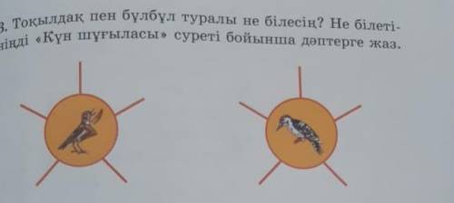 3. Тоқылдақ пен бұлбұл туралы не білесің? Не білеті- ніңді «Күн шұғыласы» суреті бойынша дәптерге жа