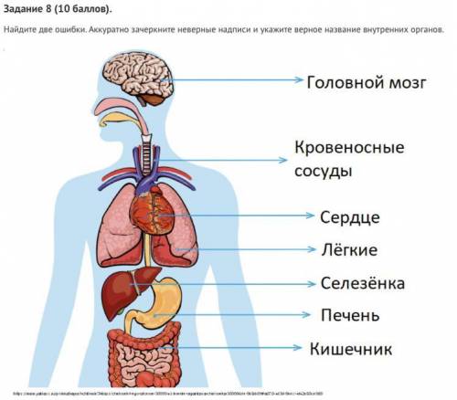 очень и напишите вот так 1. Правильно  2. Правильно 3. Не правильно и тут ответ правильный  очень ср