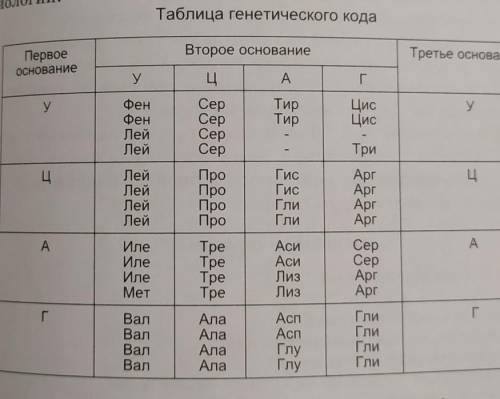 8. В ДНК есть участок со следующим составом нуклеотидов: А-А-Г-Ц-Т-Т-Т-Г-Ц-Ц-А-Г  ​