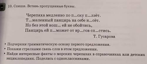 момогите Спиши вставь пропущеные буквы •Подчеркни грамматическую основу первого предложения.•Покажи 