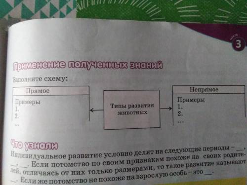 Заполните схему: Прямое типы развития животных  Непрямое