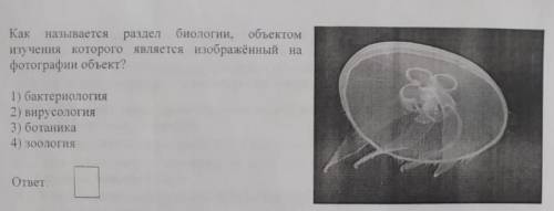 Как называется раздел биологии, объектом изучения которого является изображённый на фотографии объек