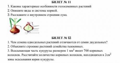 20Б БИОЛОГИЯ ЭКЗАМЕНЫ