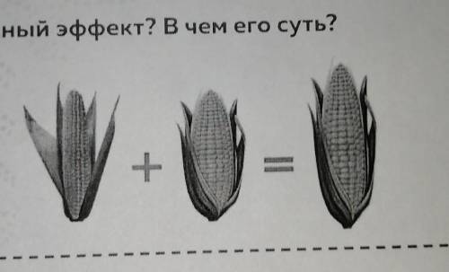 Как называется данный эффект? В чем его суть?​