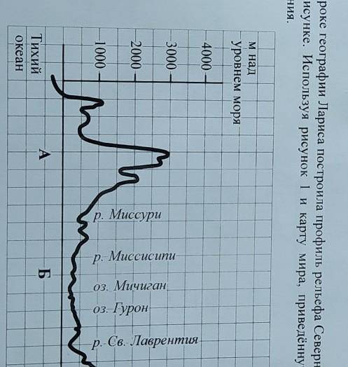 На уроке географии Лариса построила профиль рельефа Северной Америки, представленный на рисунке. Исп