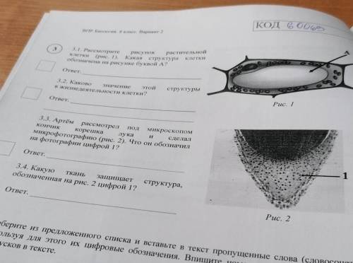 Впр 6 класс. Биология. 2 в . ​