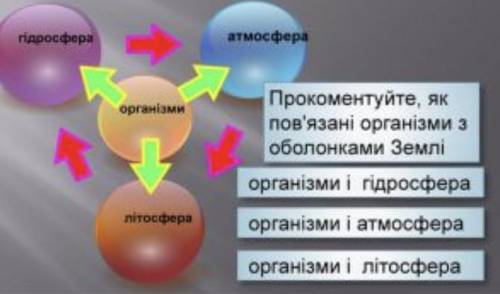 Біосфера 6 клас Прокоментуйте,як пов‘язані організми з оболонками землі надо сдать в 22:45