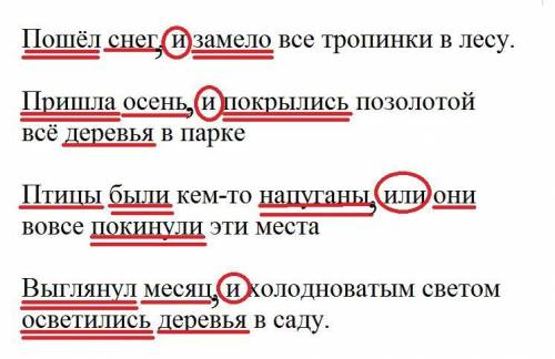 Перестройте простые предложения с однородными членами в ССП .Подчеркните грамматические основы, выде