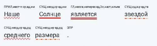 3.Разбери предложение по членам предложения и частям речи. Наше Солнце является звездой среднего раз