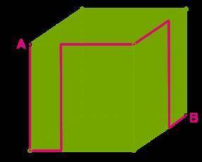 Муха ползает по поверхности куба вдоль красной линии от точки к точке . Определи длину проделанной м