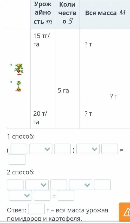 На фермерском поле площадью 5 гектаров растут помидоры и на такой же площади поля растёт картофель. 
