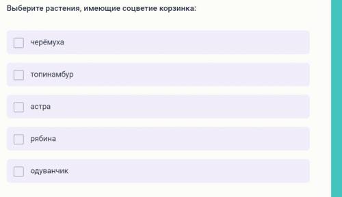 Выберите растения, имеющие соцветие корзинка: черёмуха топинамбур астра рябина одуванчик