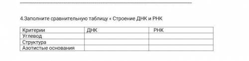 4.Заполните сравнительную таблицу « Строение ДНК и РНК КритерииДНК РНКУглеводСтруктураАзотистые осно