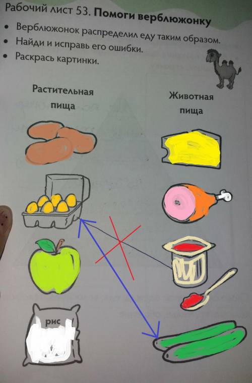 • Верблюжонок распределил еду таким образом. • Найди и исправь его ошибки. • Раскрась картинки.​