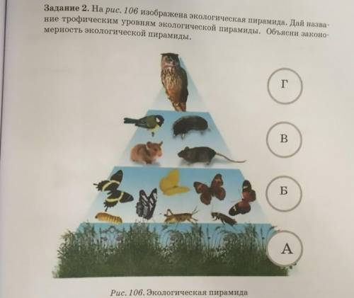 Задание 2. На рис. 106 изображена экологическая пирамида. Дай назва- ние трофическим уровням экологи