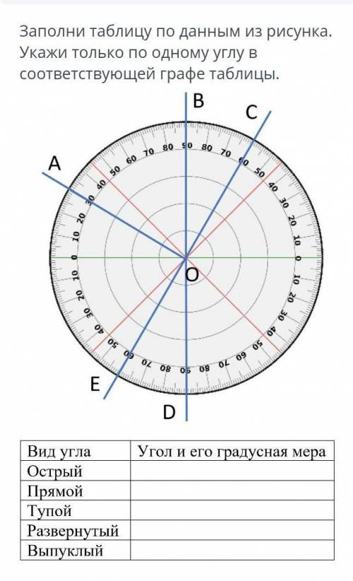 Заполни таблицу по данным из рисунка. Укажи только по одному углу в соответствующей графе таблицы. В